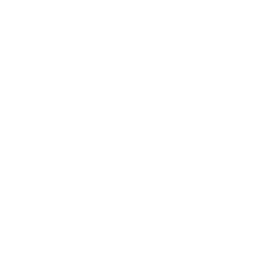 VAS LEON